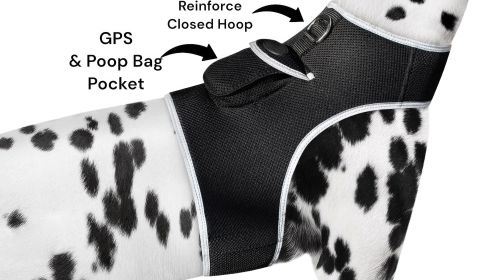 Waterproof Mini GSM GPS Cat/Dog Tracking Tag Rechargeable Pet Tracker Size:XXL