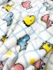 Ultra Plush Colorful Dinosaurs Blanket